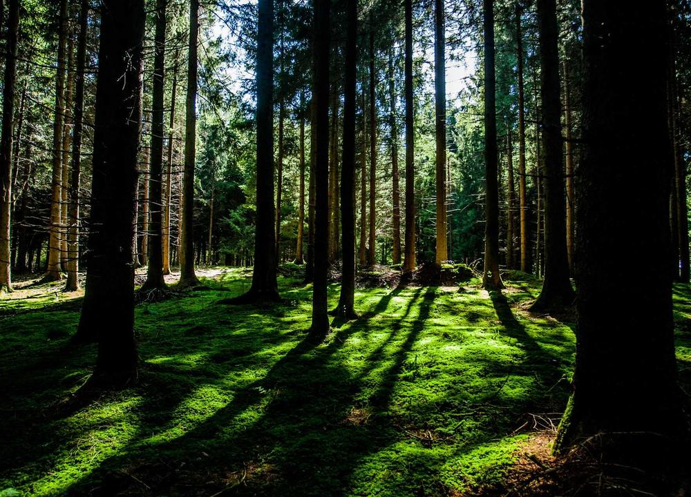 Foto di prova per la pagina portfolio