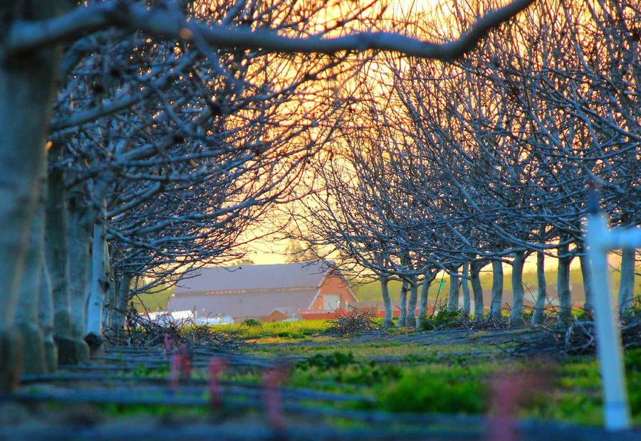 Foto di prova del progetto 5